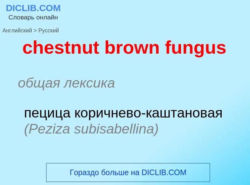 Μετάφραση του &#39chestnut brown fungus&#39 σε Ρωσικά