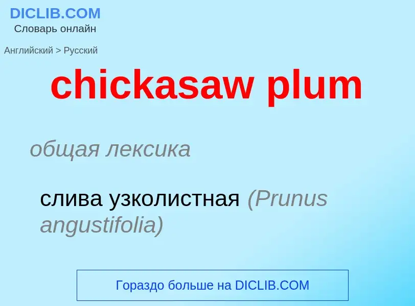 Como se diz chickasaw plum em Russo? Tradução de &#39chickasaw plum&#39 em Russo