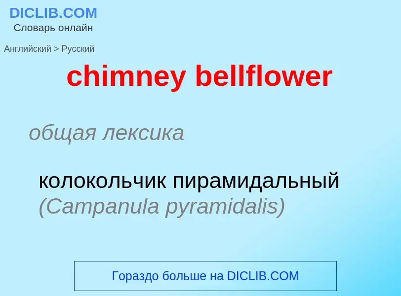 Vertaling van &#39chimney bellflower&#39 naar Russisch