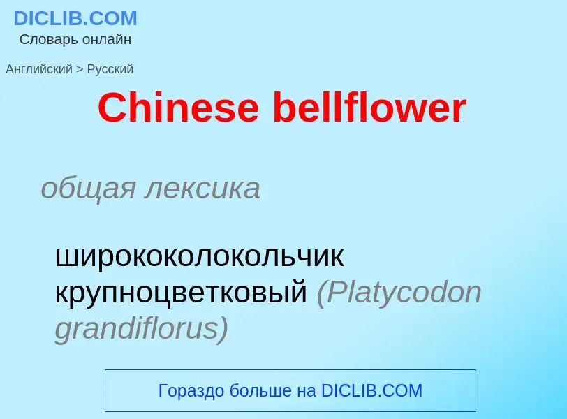 Vertaling van &#39Chinese bellflower&#39 naar Russisch