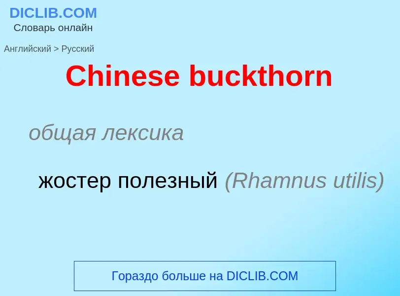 ¿Cómo se dice Chinese buckthorn en Ruso? Traducción de &#39Chinese buckthorn&#39 al Ruso