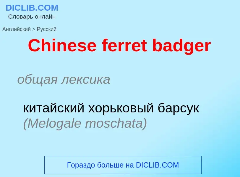 Как переводится Chinese ferret badger на Русский язык