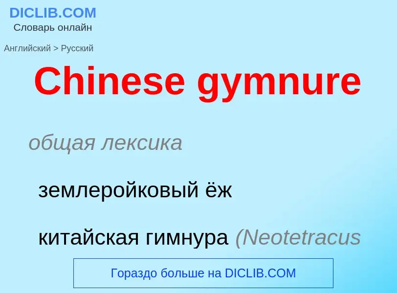 Como se diz Chinese gymnure em Russo? Tradução de &#39Chinese gymnure&#39 em Russo