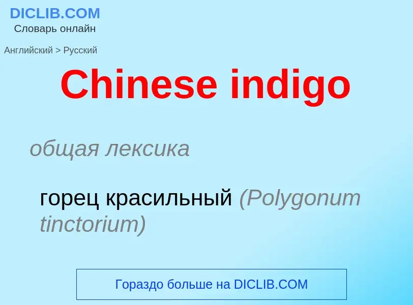 Vertaling van &#39Chinese indigo&#39 naar Russisch