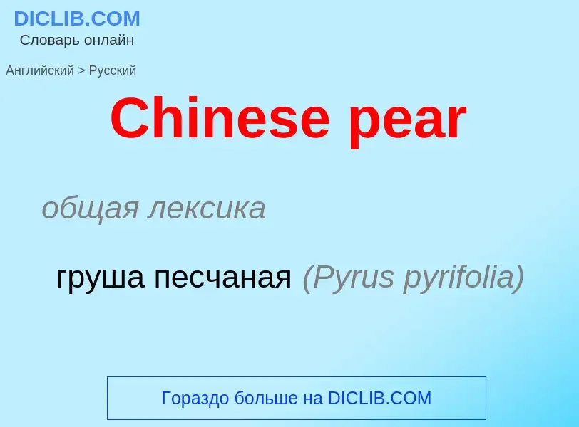 Как переводится Chinese pear на Русский язык