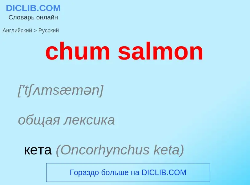 Как переводится chum salmon на Русский язык