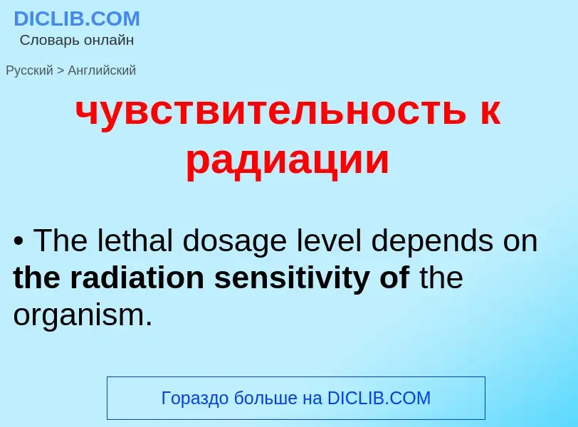 Как переводится чувствительность к радиации на Английский язык