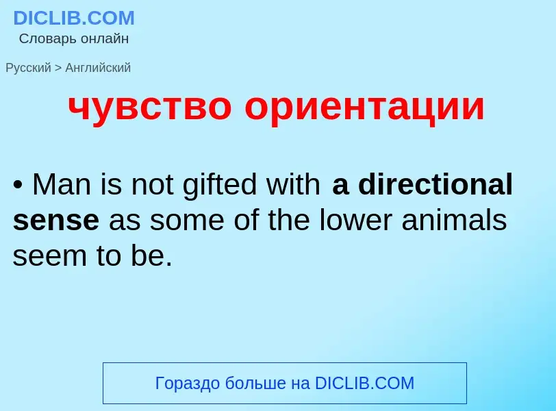 What is the English for чувство ориентации? Translation of &#39чувство ориентации&#39 to English