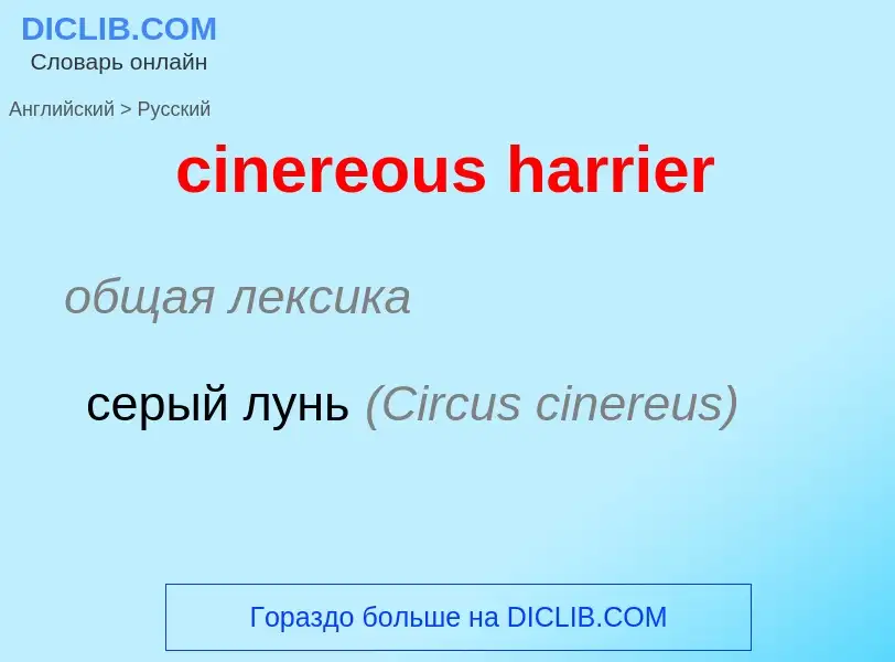 Como se diz cinereous harrier em Russo? Tradução de &#39cinereous harrier&#39 em Russo