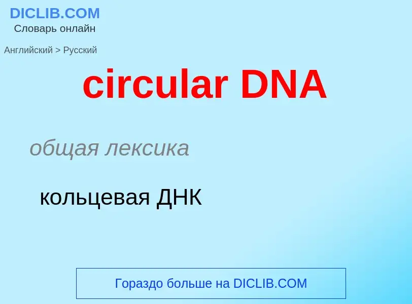 Traduzione di &#39circular DNA&#39 in Russo