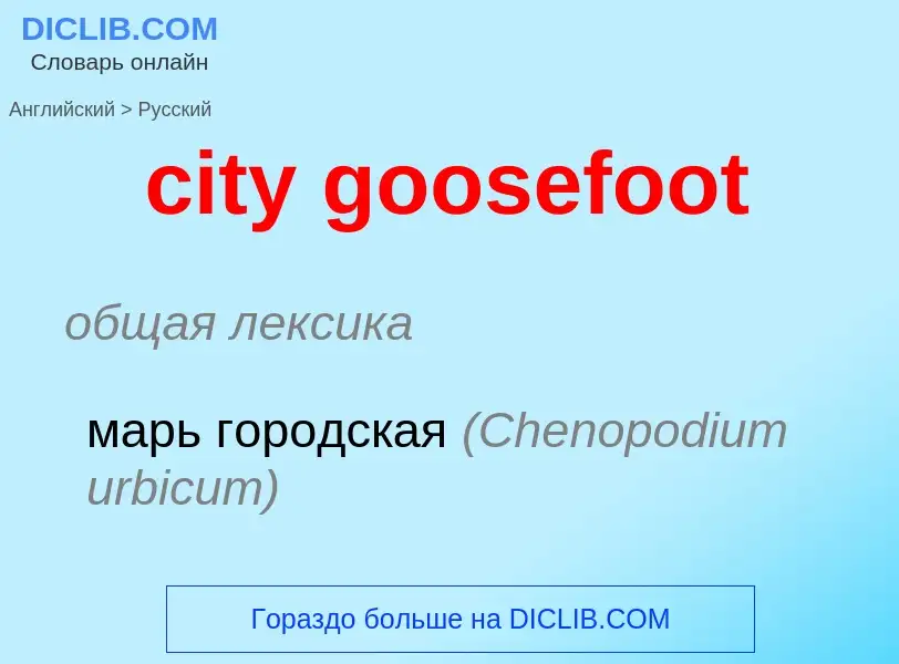 Как переводится city goosefoot на Русский язык