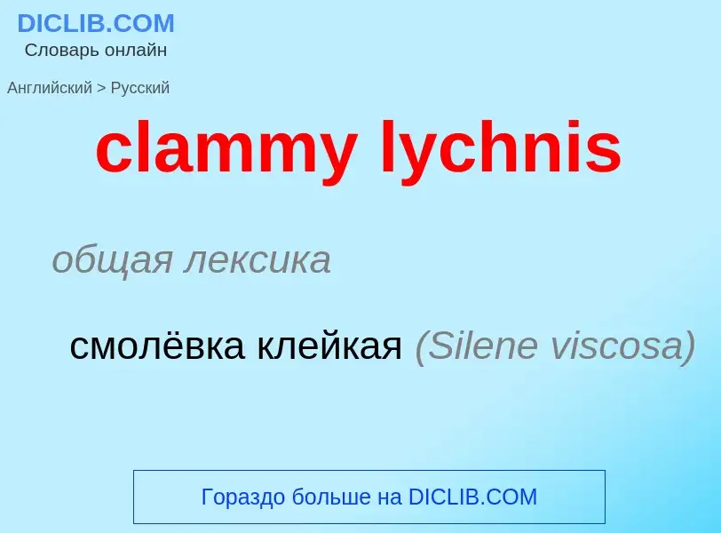 Μετάφραση του &#39clammy lychnis&#39 σε Ρωσικά