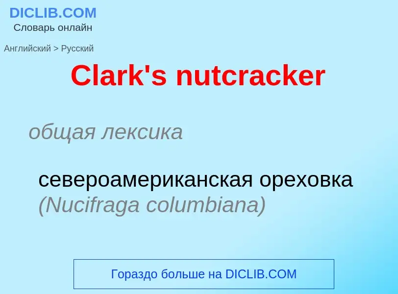 Как переводится Clark's nutcracker на Русский язык