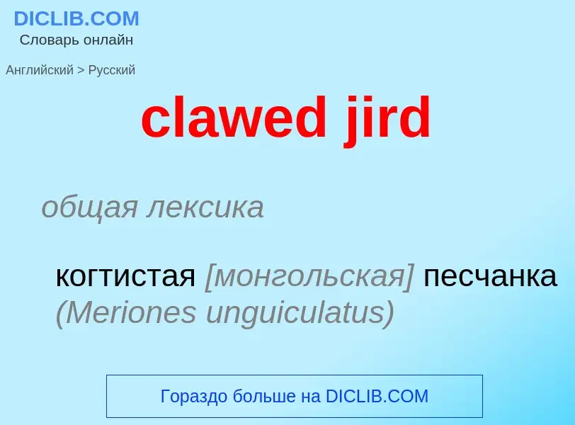 ¿Cómo se dice clawed jird en Ruso? Traducción de &#39clawed jird&#39 al Ruso