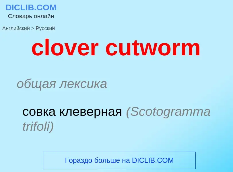 Как переводится clover cutworm на Русский язык