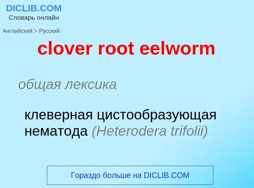 Übersetzung von &#39clover root eelworm&#39 in Russisch