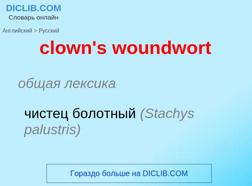 What is the الروسية for clown's woundwort? Translation of &#39clown's woundwort&#39 to الروسية