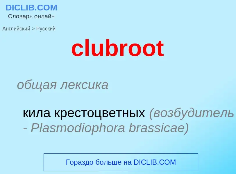 ¿Cómo se dice clubroot en Ruso? Traducción de &#39clubroot&#39 al Ruso