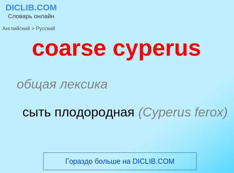 Как переводится coarse cyperus на Русский язык