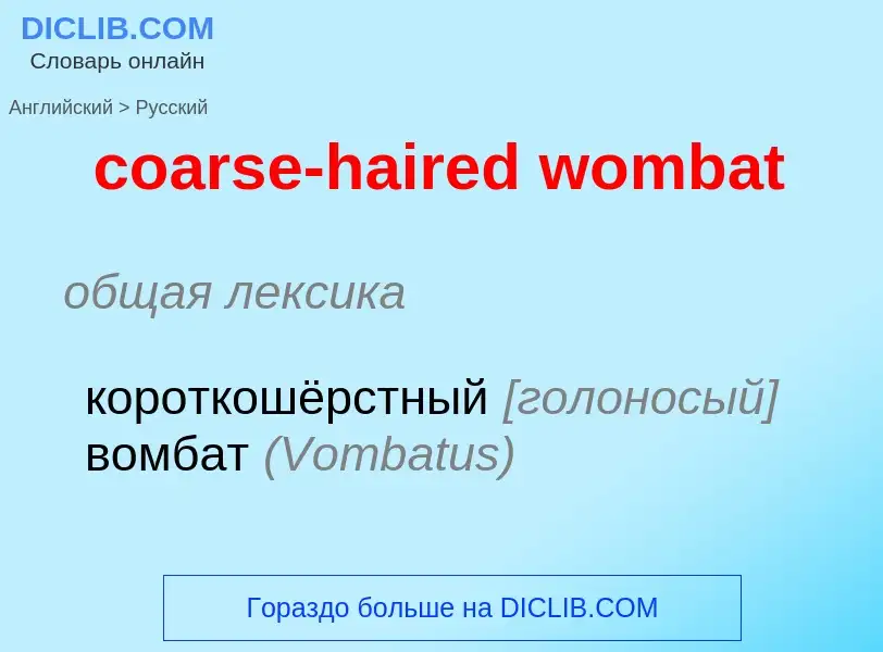 Как переводится coarse-haired wombat на Русский язык