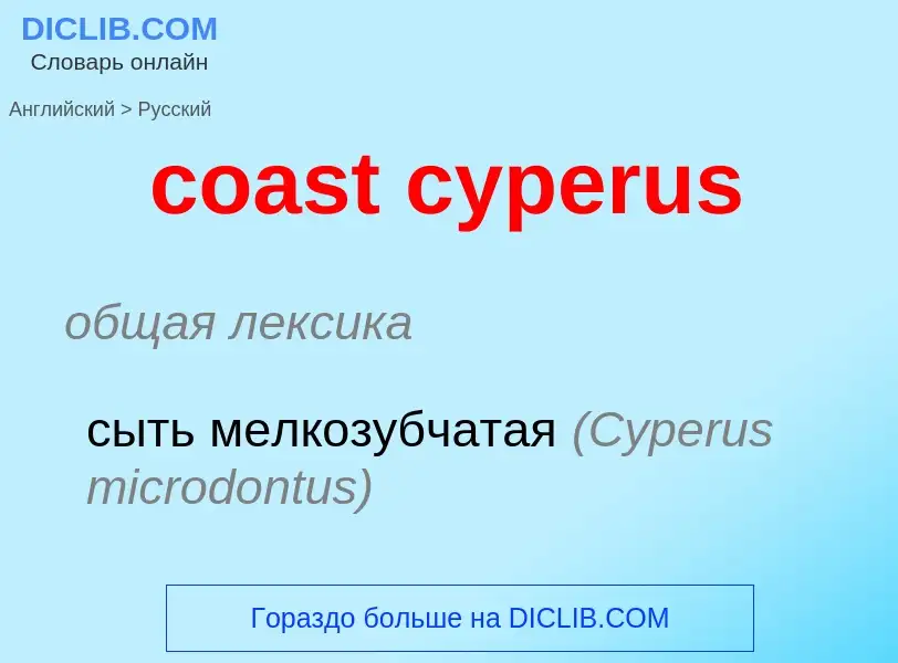 Как переводится coast cyperus на Русский язык