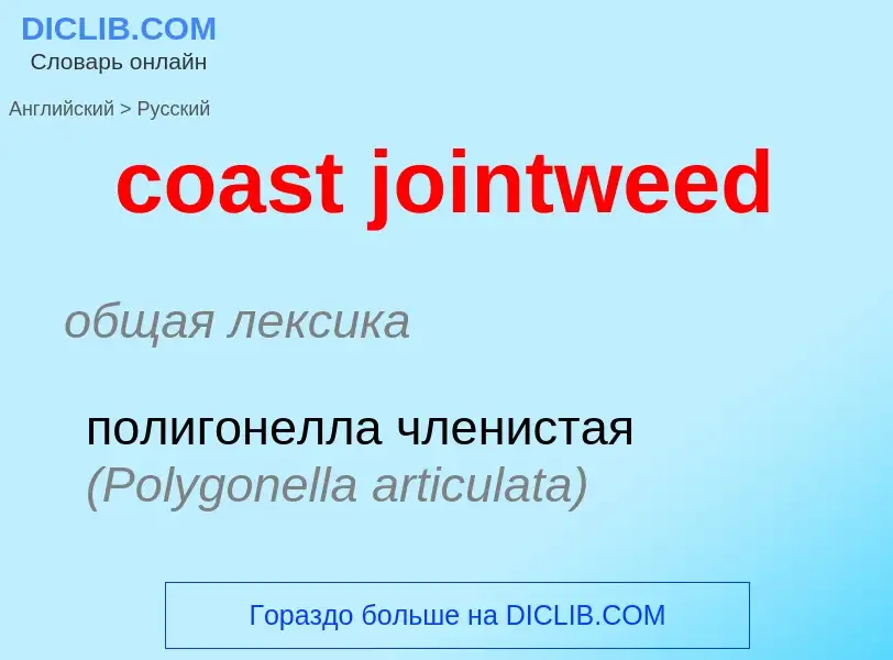 Как переводится coast jointweed на Русский язык