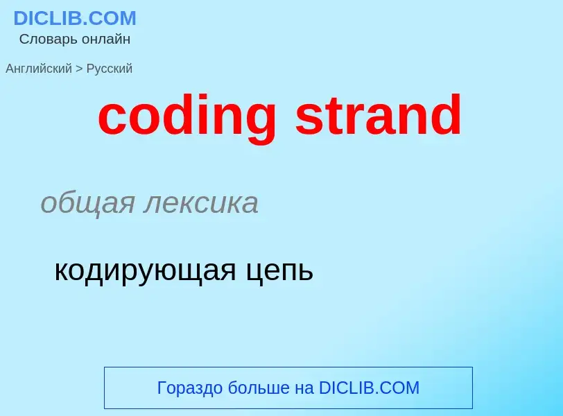 Как переводится coding strand на Русский язык