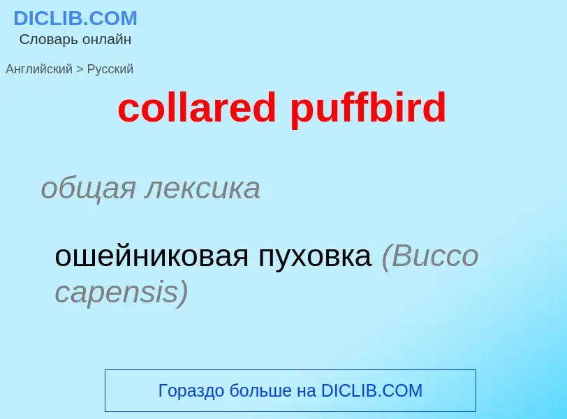 Μετάφραση του &#39collared puffbird&#39 σε Ρωσικά