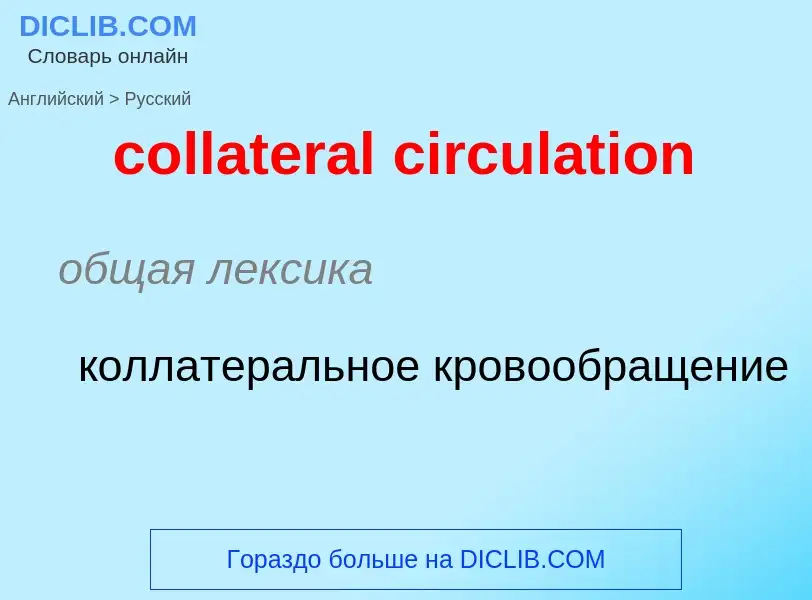 Как переводится collateral circulation на Русский язык