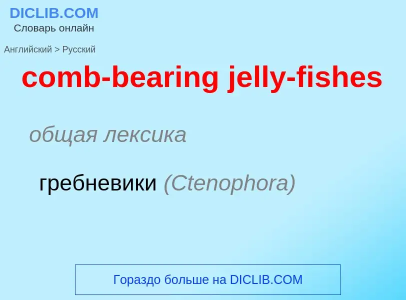 ¿Cómo se dice comb-bearing jelly-fishes en Ruso? Traducción de &#39comb-bearing jelly-fishes&#39 al 