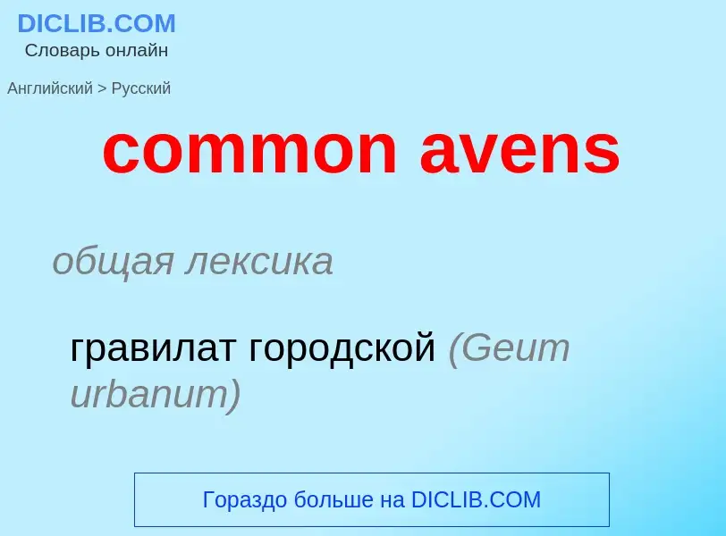 Как переводится common avens на Русский язык