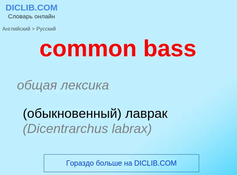 Как переводится common bass на Русский язык