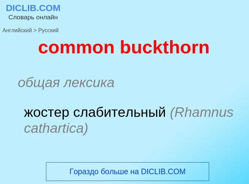 ¿Cómo se dice common buckthorn en Ruso? Traducción de &#39common buckthorn&#39 al Ruso