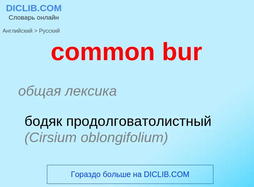 Como se diz common bur em Russo? Tradução de &#39common bur&#39 em Russo