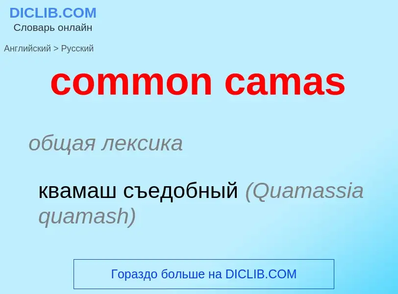 Como se diz common camas em Russo? Tradução de &#39common camas&#39 em Russo