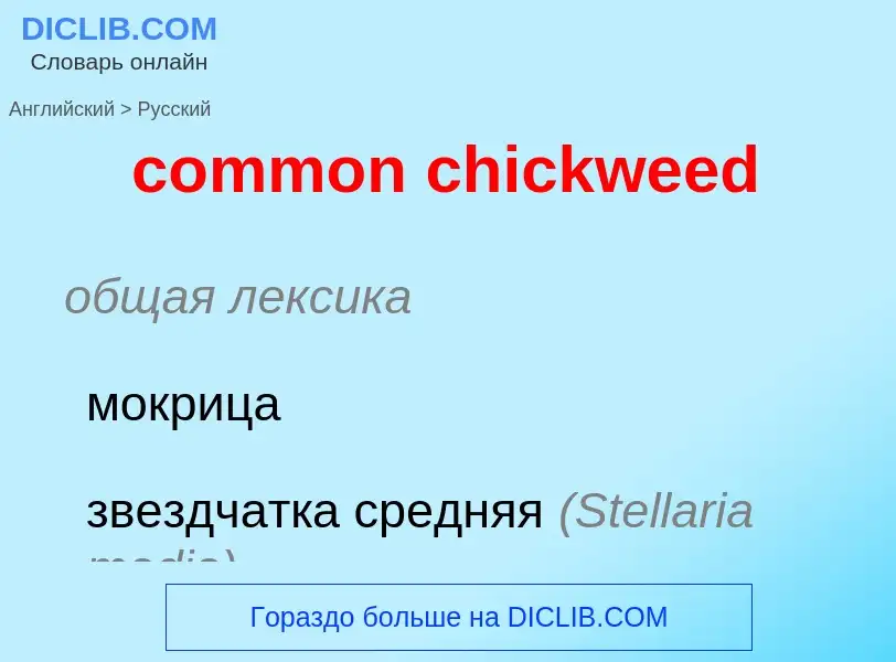 Vertaling van &#39common chickweed&#39 naar Russisch