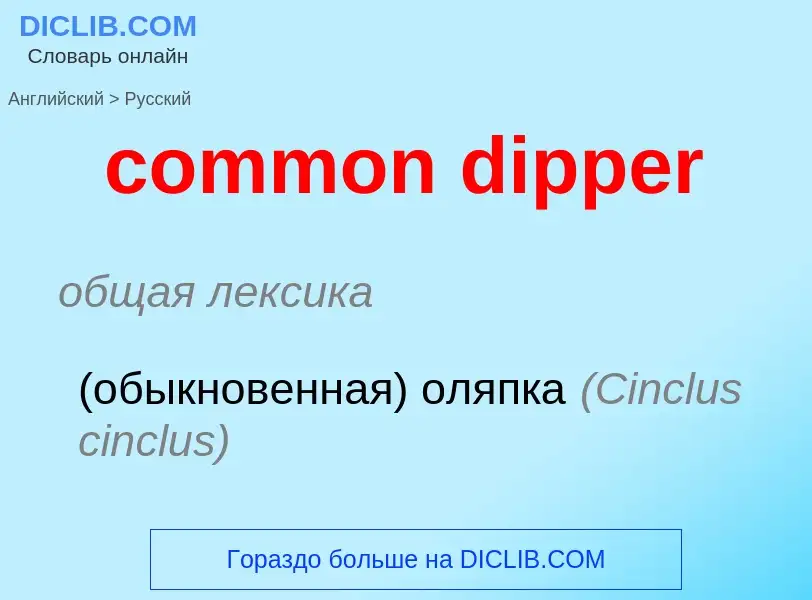 Как переводится common dipper на Русский язык