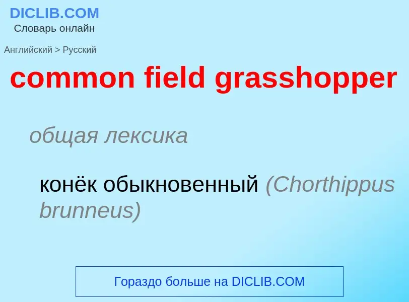 Как переводится common field grasshopper на Русский язык