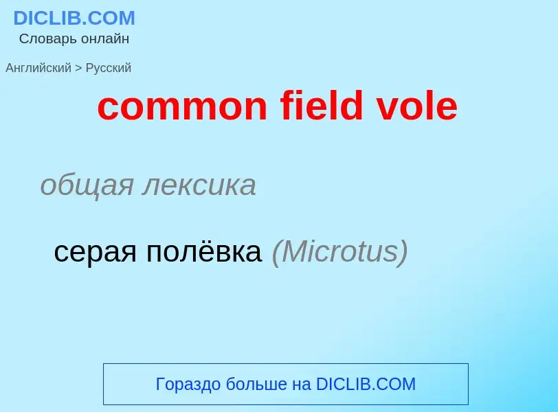 ¿Cómo se dice common field vole en Ruso? Traducción de &#39common field vole&#39 al Ruso