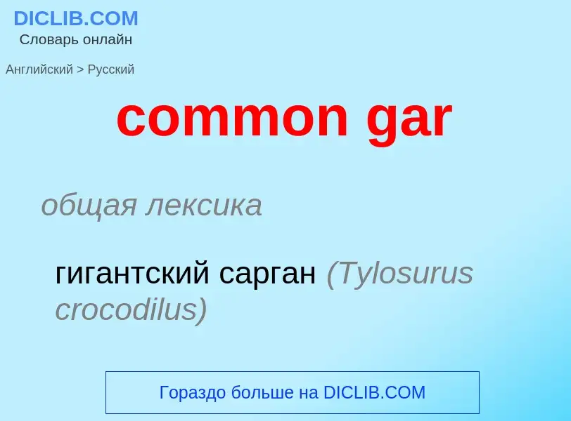 What is the Russian for common gar? Translation of &#39common gar&#39 to Russian