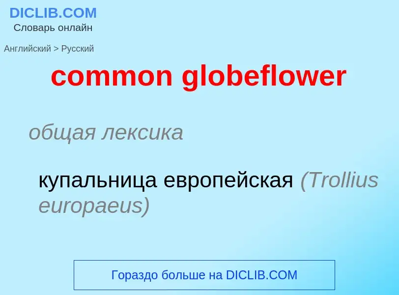 ¿Cómo se dice common globeflower en Ruso? Traducción de &#39common globeflower&#39 al Ruso