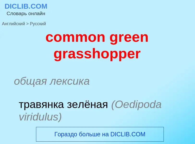 Как переводится common green grasshopper на Русский язык