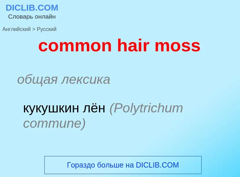 Как переводится common hair moss на Русский язык