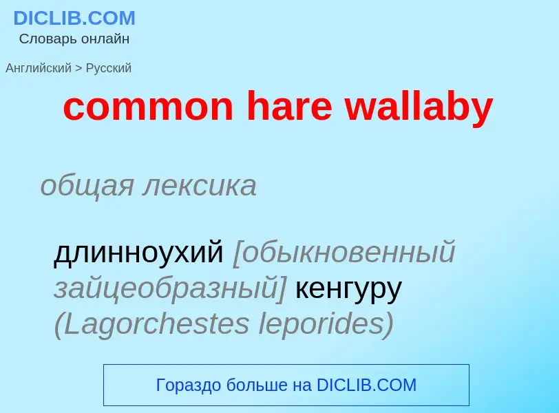 What is the Russian for common hare wallaby? Translation of &#39common hare wallaby&#39 to Russian