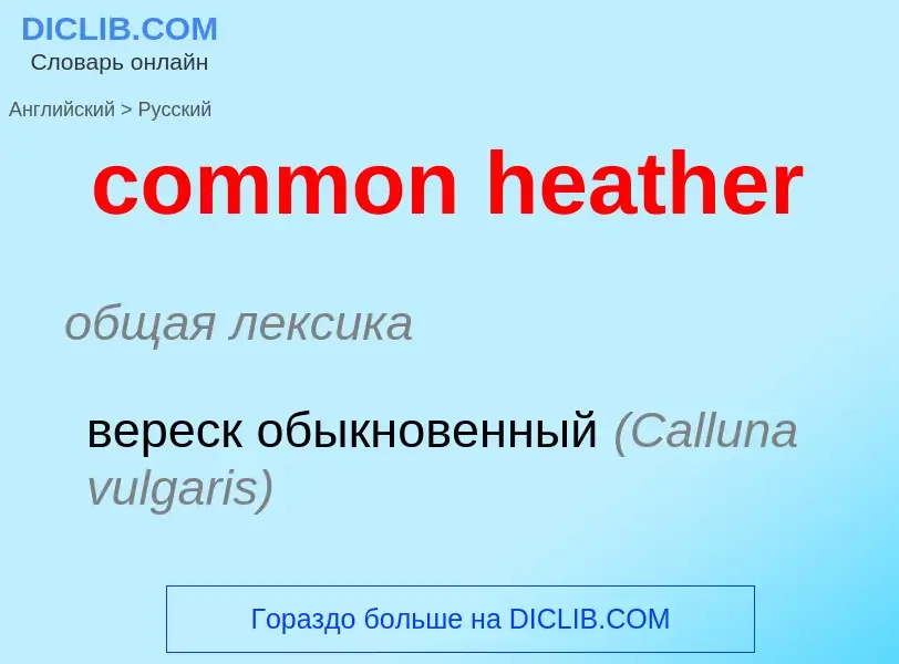 Как переводится common heather на Русский язык