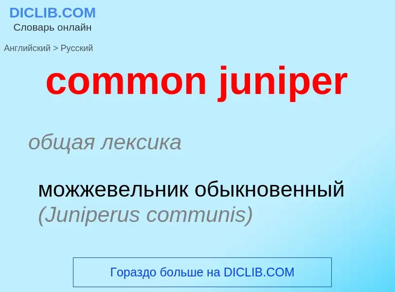 Как переводится common juniper на Русский язык