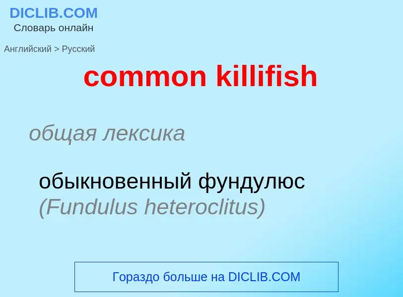 ¿Cómo se dice common killifish en Ruso? Traducción de &#39common killifish&#39 al Ruso