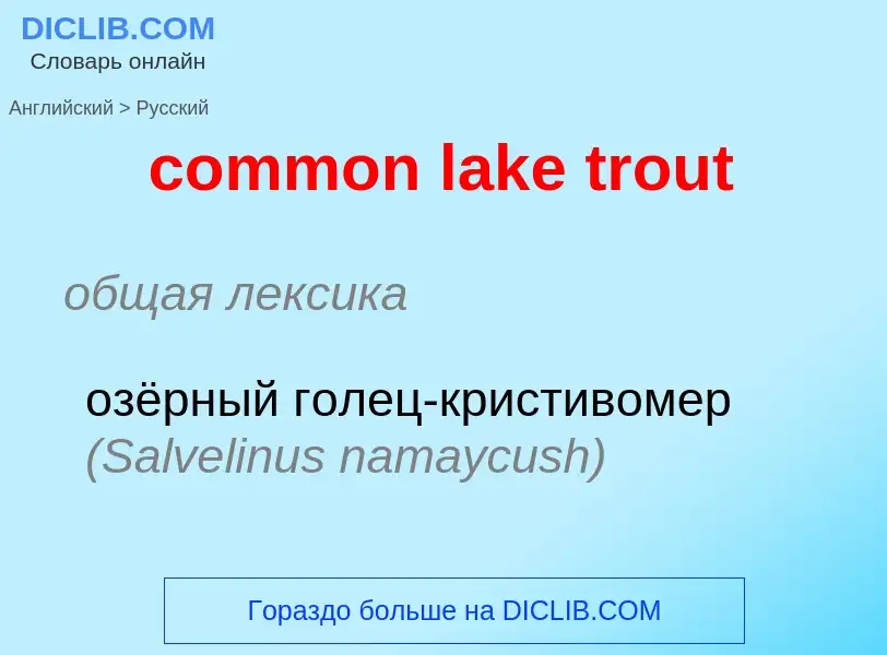 Как переводится common lake trout на Русский язык