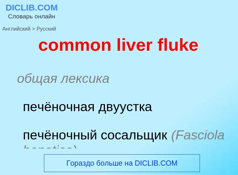 Traduzione di &#39common liver fluke&#39 in Russo