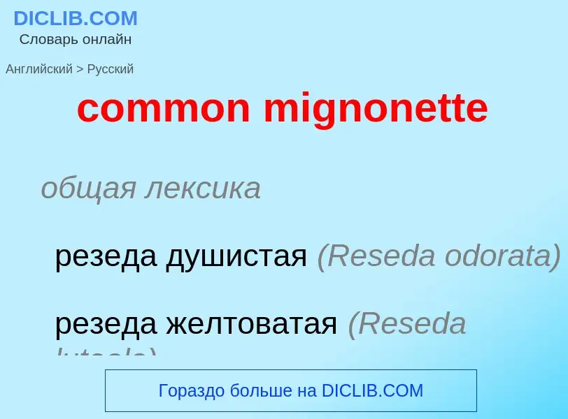 Vertaling van &#39common mignonette&#39 naar Russisch